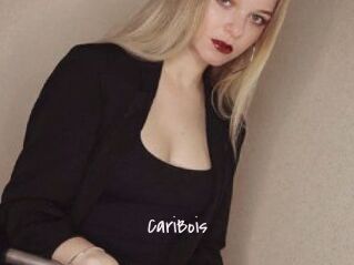 CariBois