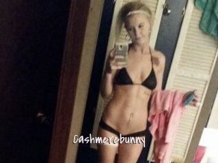 Cashmerebunny