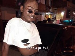 Cattleya_bad