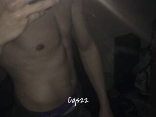 Cgs22