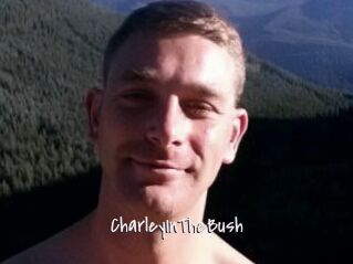 CharleyInTheBush