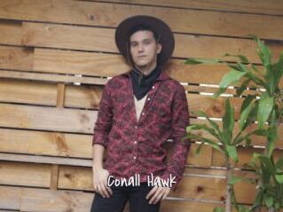 Conall_Hawk