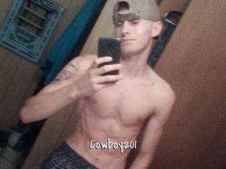 Cowboy201