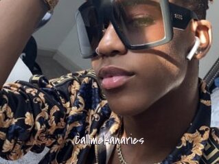 callmekanaries Commando Sexy