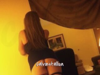 Calvinstallion
