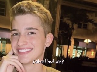 Calvinthetwink