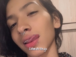 Camiarango