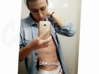 Camussub