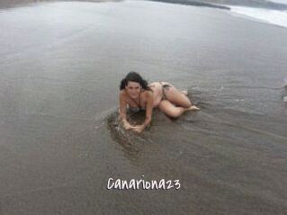 Canariona23