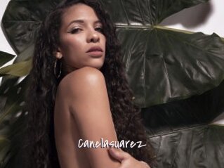 Canelasuarez