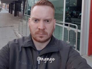 Cangingie