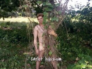 Carlot_hdozom