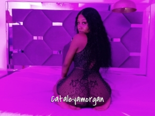 Cataleyamorgan