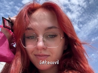 Catecovil