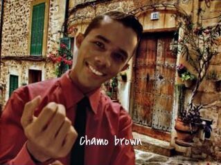 Chamo_brown