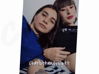 Charlottandviolett