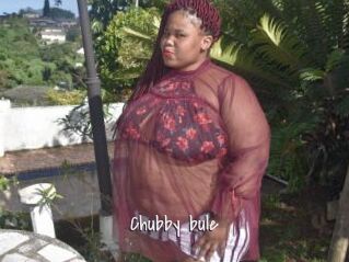 Chubby_bule