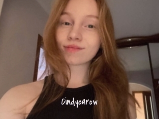 Cindycarow