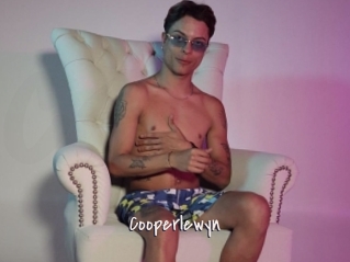 Cooperlewyn