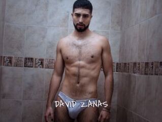 DAVID_ZANAS