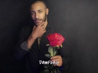 DamFenix
