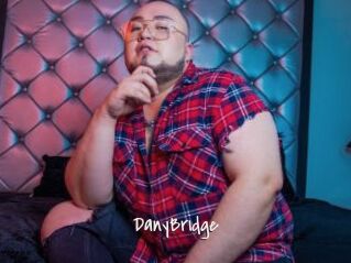 DanyBridge