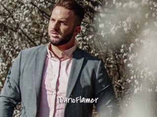 DarioFlamer