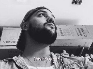 Davidkrieger