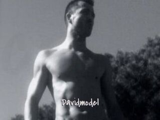 Davidmodel