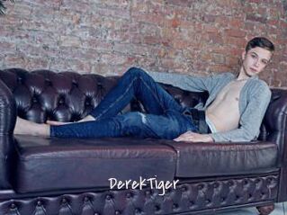DerekTiger