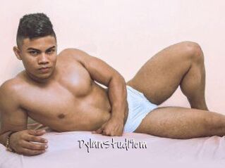DylanStud19cm