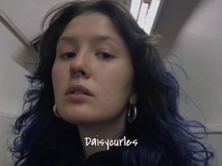 Daisycurles