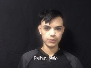 Dalton_Male
