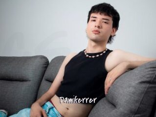 Damiferrer