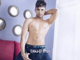 Daneil_torus