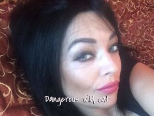 Dangerous_wild_cat