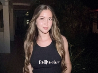 Dellkesler