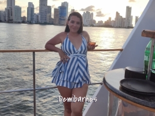 Demibarnes