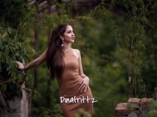 Dinafrittz