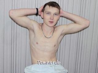 Dominicrule