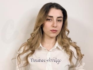 Dominoestridge