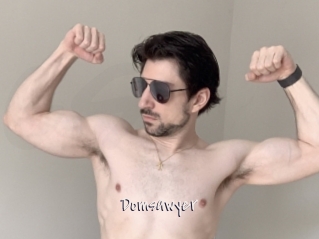 Domsawyer