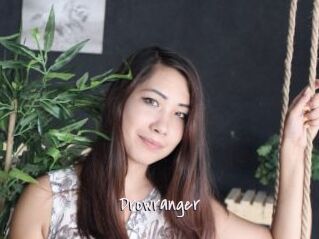 Drowranger