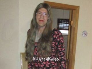 Elantra_Rose