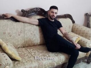 ElliotSharp