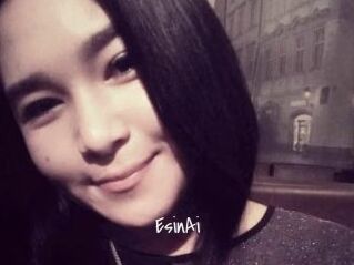 EsinAi
