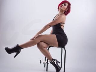 EvaBird