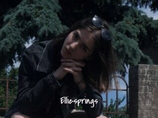 Elliesprings