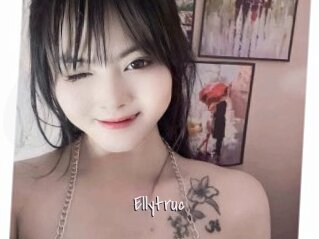 Ellytruc