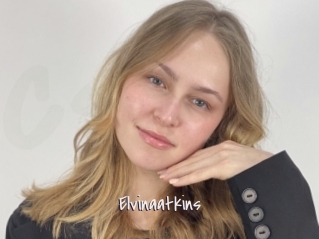 Elvinaatkins